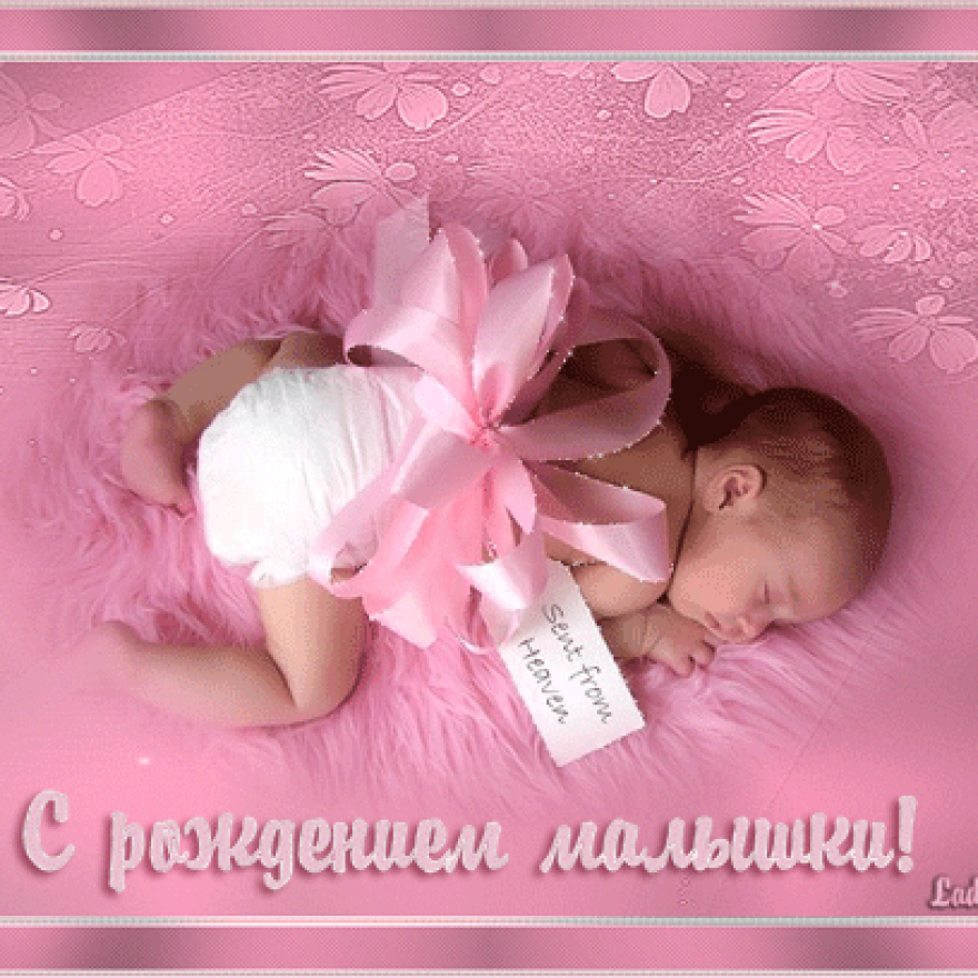Поздравляем! Поздравляем!